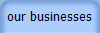 our businesses